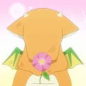 Meet your Posher, Kalani